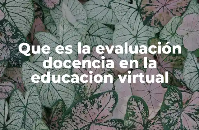 El rol de la evaluación en la mejora continua de la educación digital