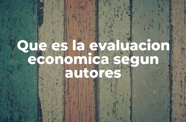 Que es la Evaluacion Economica Segun Autores