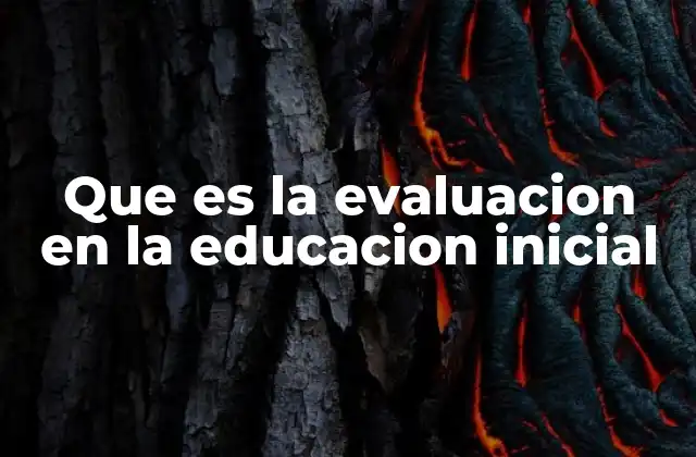 La importancia de la observación en la evaluación temprana