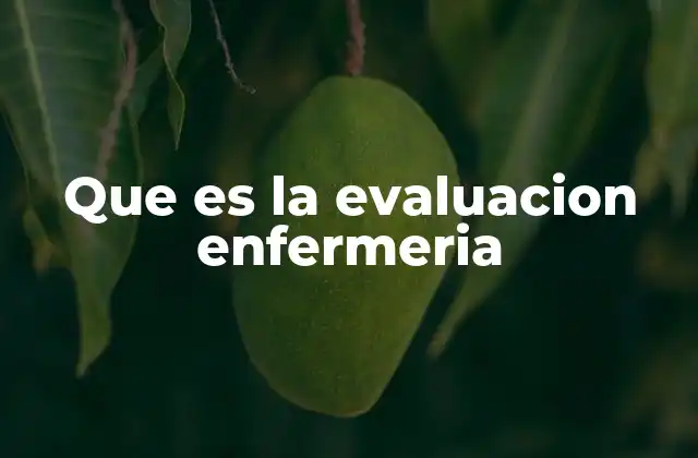 Que es la Evaluacion Enfermeria