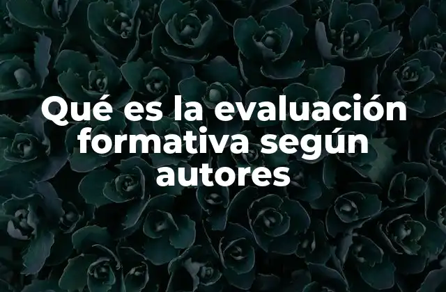 Qué es la Evaluación Formativa según Autores