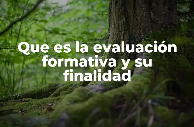 Que es la Evaluación Formativa y Su Finalidad