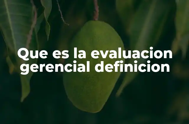 Que es la Evaluacion Gerencial Definicion