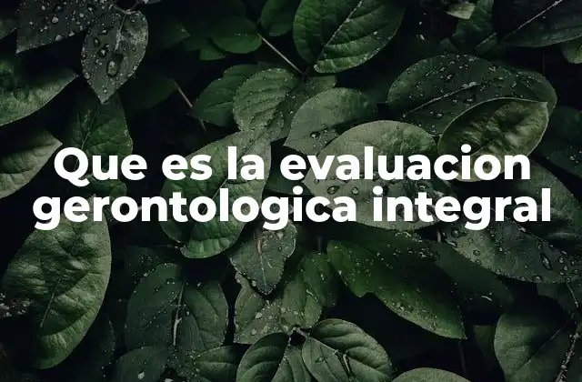 El enfoque multidisciplinar en el abordaje de personas mayores