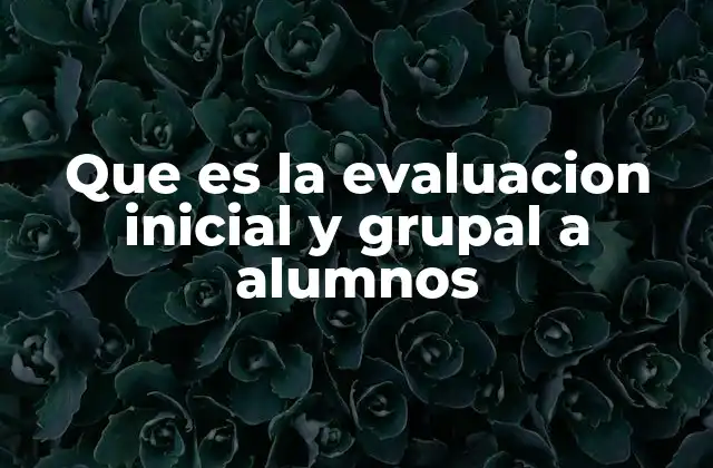 Que es la Evaluacion Inicial y Grupal a Alumnos
