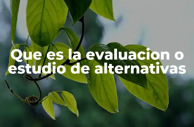 Que es la Evaluacion o Estudio de Alternativas