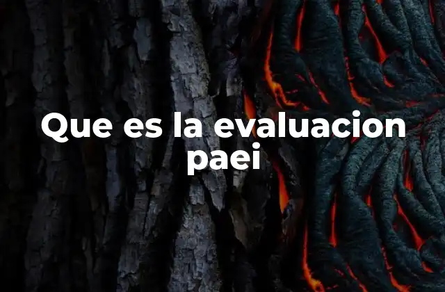 Que es la Evaluacion Paei