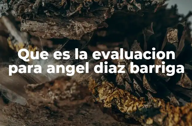 Que es la Evaluacion para Angel Diaz Barriga