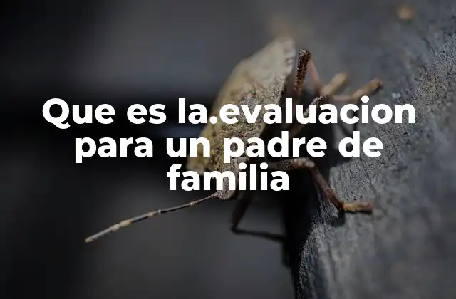 Que es La.evaluacion para un Padre de Familia