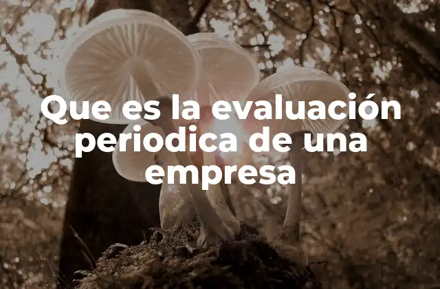 Que es la Evaluación Periodica de una Empresa