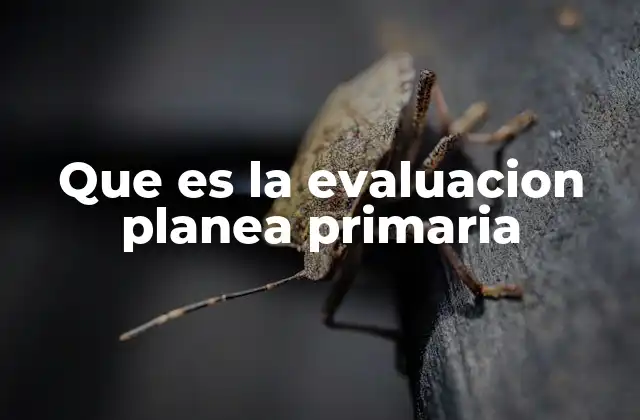 Que es la Evaluacion Planea Primaria