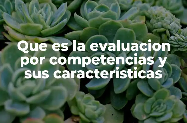 Que es la Evaluacion por Competencias y Sus Caracteristicas