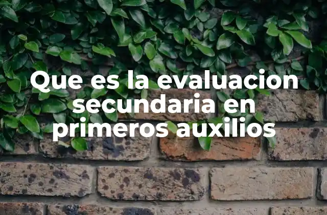 Que es la Evaluacion Secundaria en Primeros Auxilios
