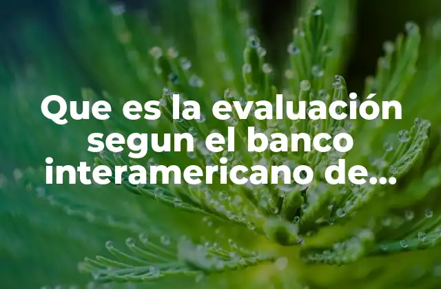 Que es la Evaluación Segun el Banco Interamericano de Desarrollo 2 La importancia de la evaluación en la gestión de proyectos de desarrollo
