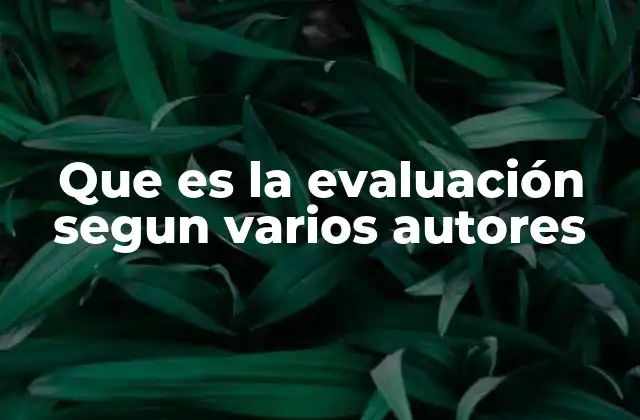 Que es la Evaluación Segun Varios Autores