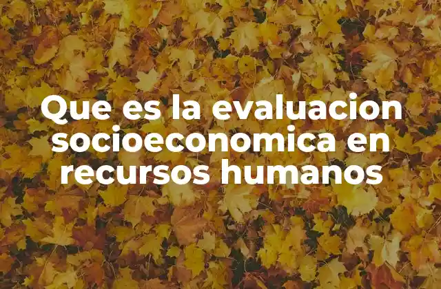 Que es la Evaluacion Socioeconomica en Recursos Humanos