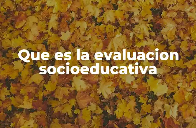 Que es la Evaluacion Socioeducativa