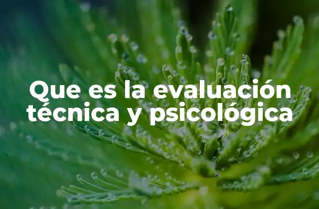 Que es la Evaluación Técnica y Psicológica