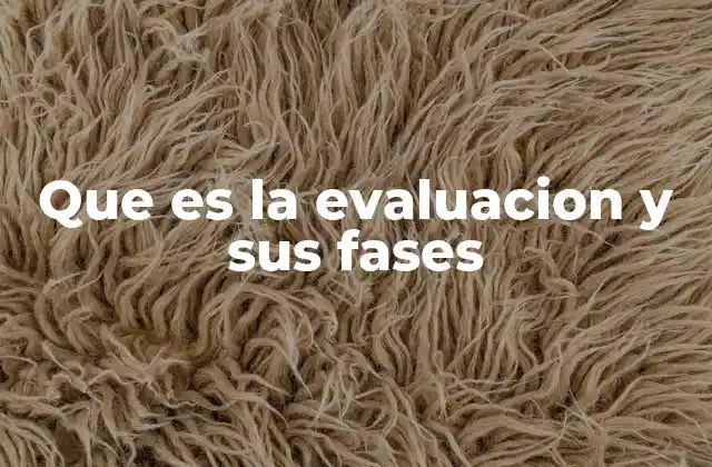 Que es la Evaluacion y Sus Fases