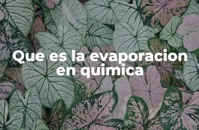 Que es la Evaporacion en Quimica