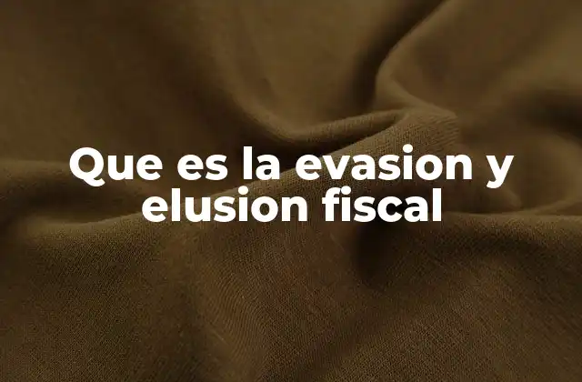 Que es la Evasion y Elusion Fiscal