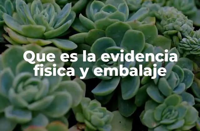 Que es la Evidencia Fisica y Embalaje