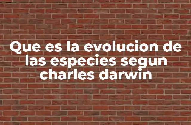 Que es la Evolucion de las Especies Segun Charles Darwin