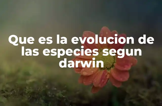 Que es la Evolucion de las Especies Segun Darwin