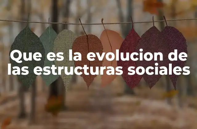 Que es la Evolucion de las Estructuras Sociales
