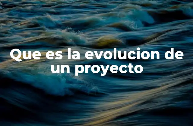 Que es la Evolucion de un Proyecto