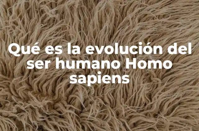 Qué es la Evolución Del Ser Humano Homo Sapiens