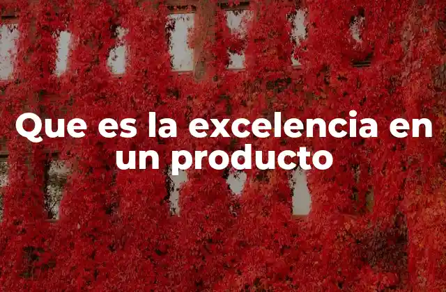 Que es la Excelencia en un Producto