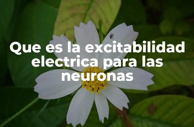 Que es la Excitabilidad Electrica para las Neuronas