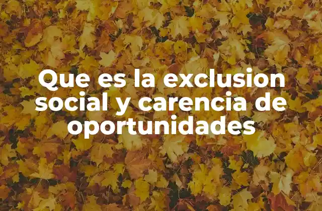 Que es la Exclusion Social y Carencia de Oportunidades