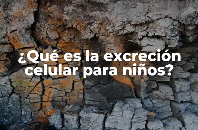 Cómo el cuerpo de los niños elimina desechos