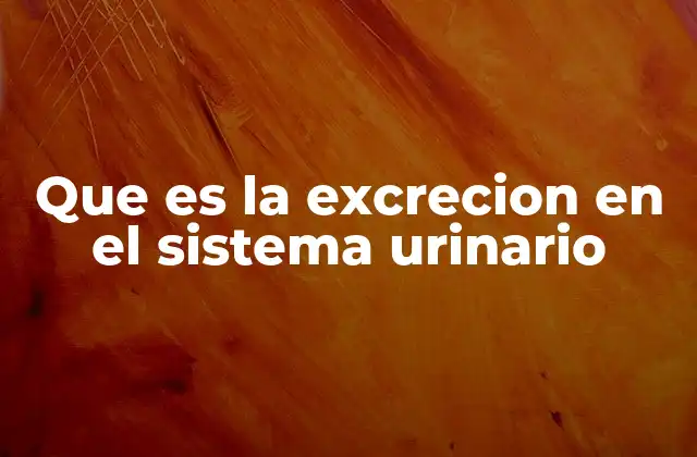 Que es la Excrecion en el Sistema Urinario