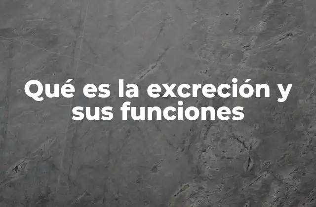 Qué es la Excreción y Sus Funciones
