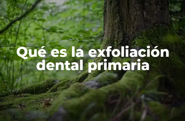 Qué es la Exfoliación Dental Primaria