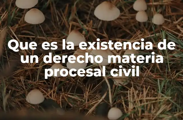 Que es la Existencia de un Derecho Materia Procesal Civil