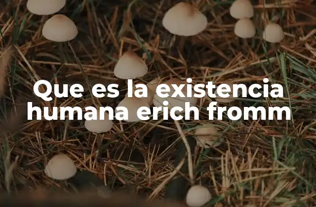 Que es la Existencia Humana Erich Fromm