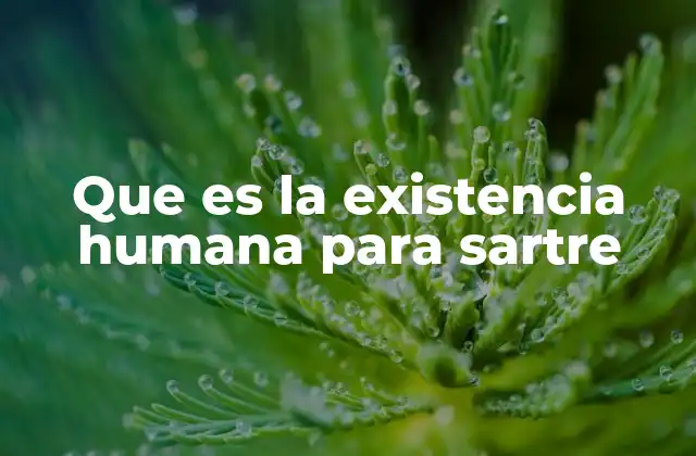 Que es la Existencia Humana para Sartre