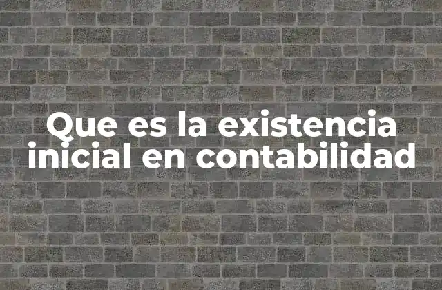 Que es la Existencia Inicial en Contabilidad