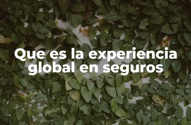 Que es la Experiencia Global en Seguros 2 La importancia de la experiencia en el sector asegurador