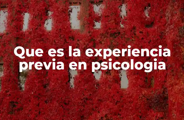 Que es la Experiencia Previa en Psicologia 2 El rol de la experiencia previa en la formación profesional
