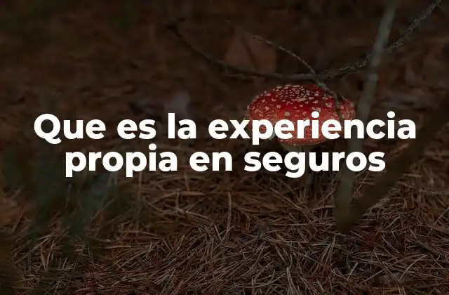 La importancia de la percepción en la relación asegurador-asegurado