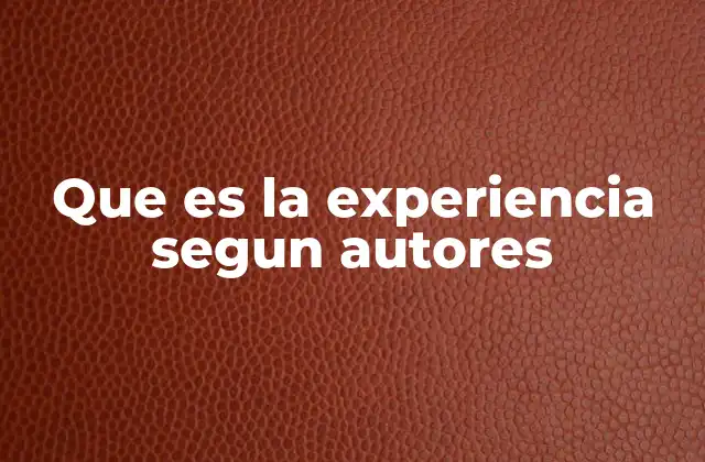 Que es la Experiencia Segun Autores