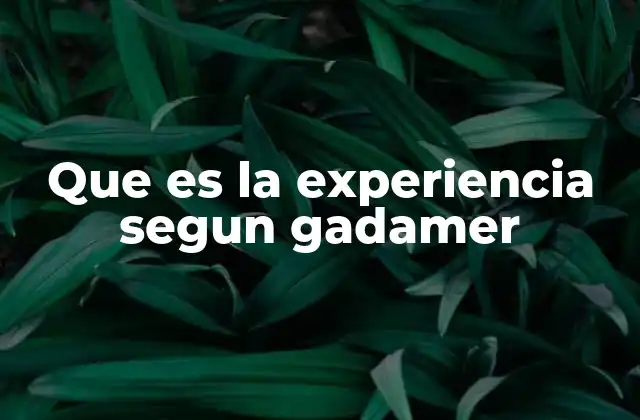 Que es la Experiencia Segun Gadamer