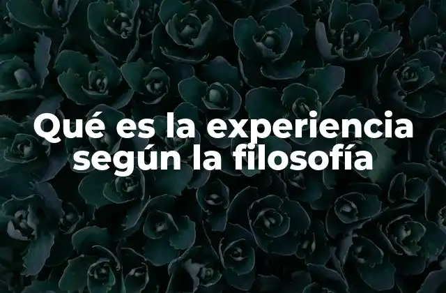 Qué es la Experiencia según la Filosofía