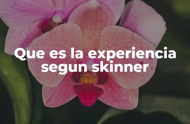 Que es la Experiencia Segun Skinner