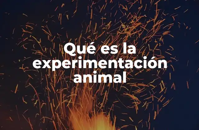 Qué es la Experimentación Animal 2 El papel de los animales en la ciencia